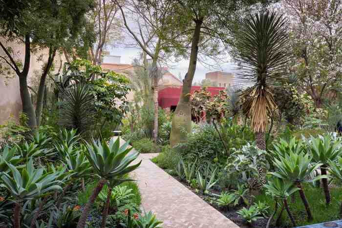 Zellige and Carved Plaster: The Art of Detail in Moroccan Architecture
