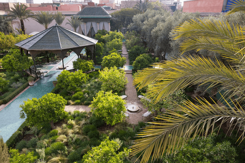 Finding a Cafe with a Medina View in Marrakech