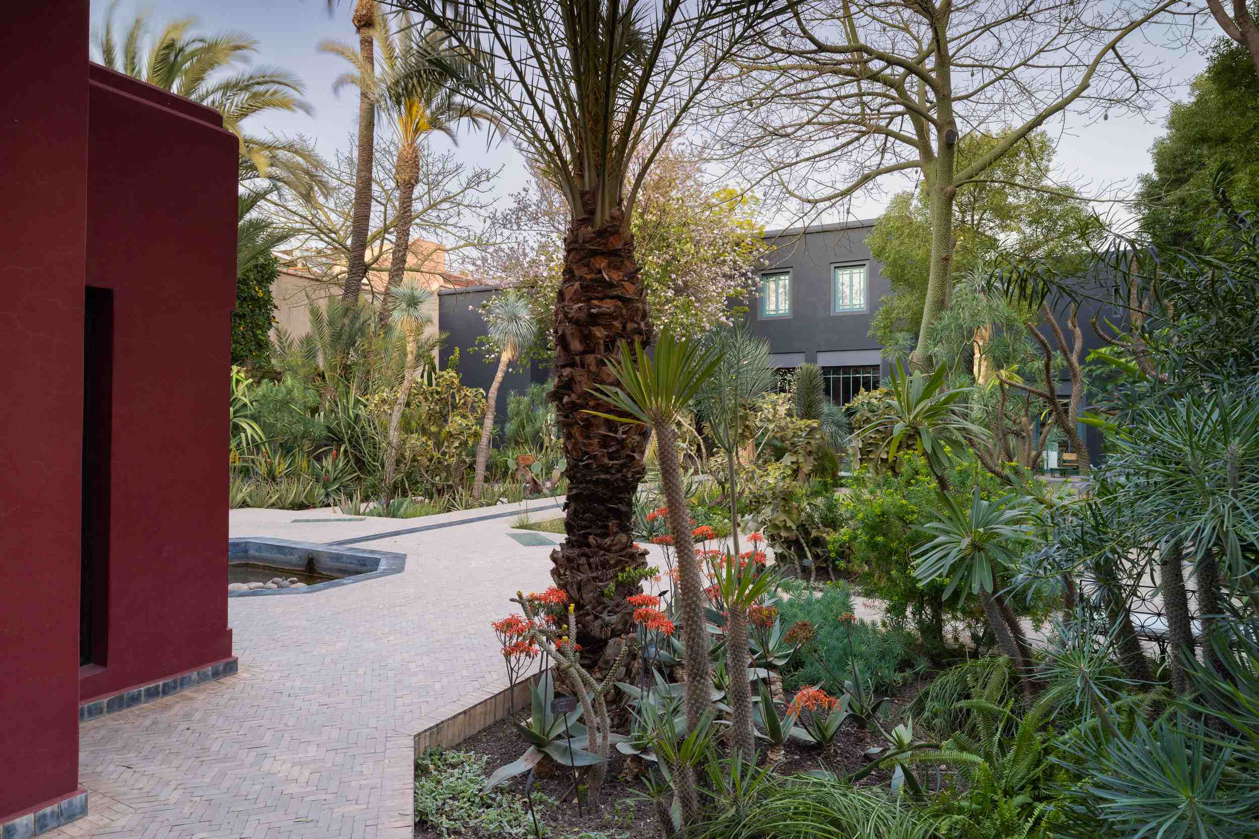 Méditation et calme : Où échapper au bruit de la place Jemaa el-Fna ?