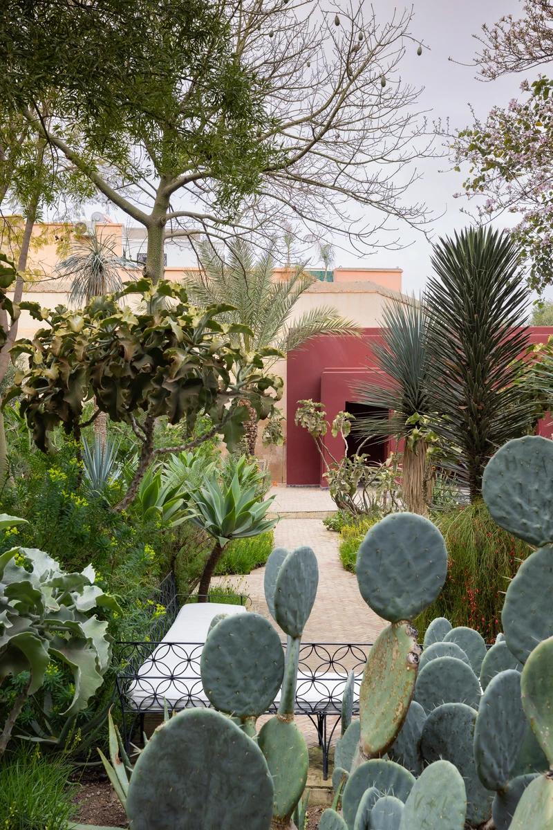Art de vivre : Comment vivre une expérience authentique à Marrakech