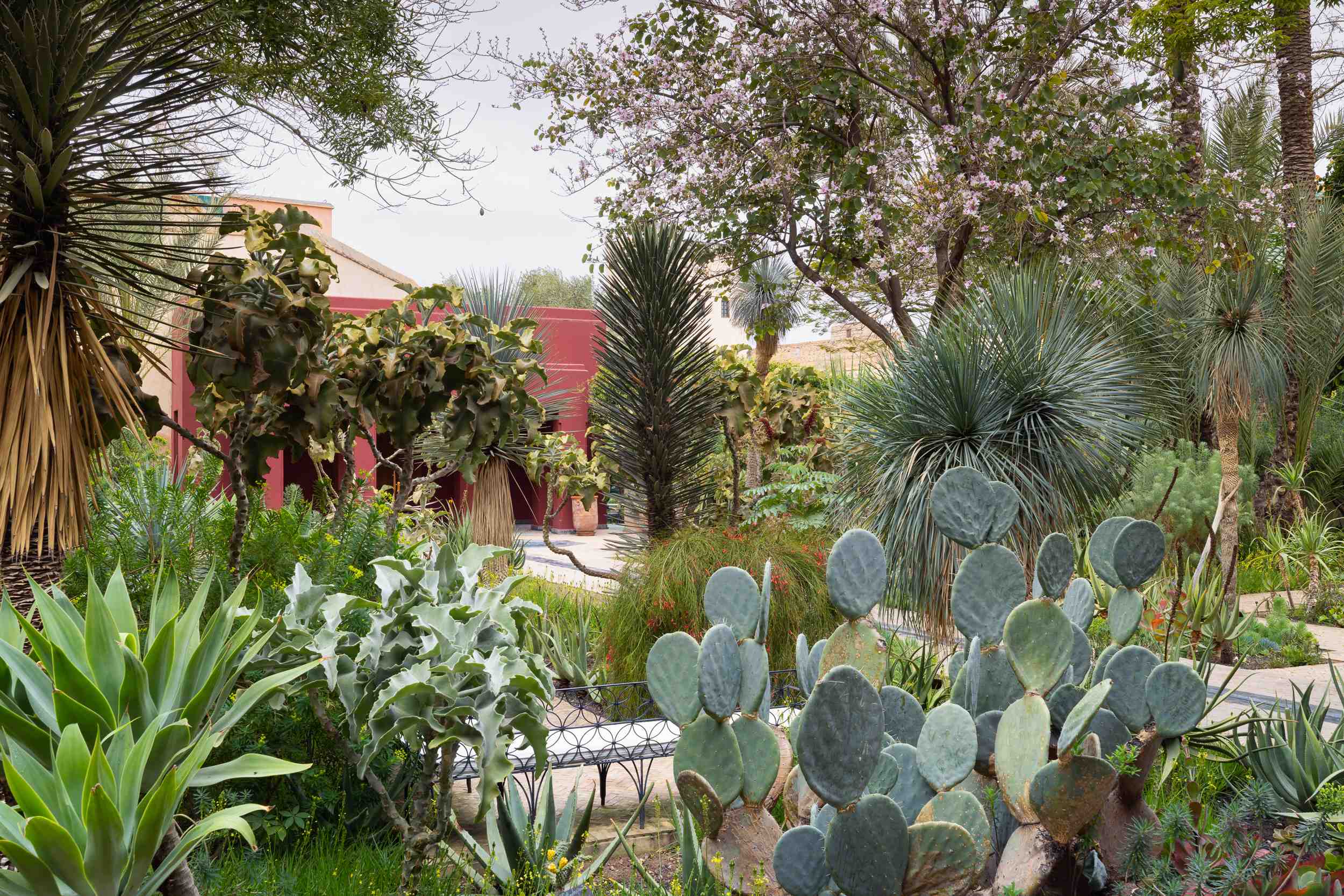 Explorer les trésors cachés de la médina : jardins et patrimoine à Marrakech