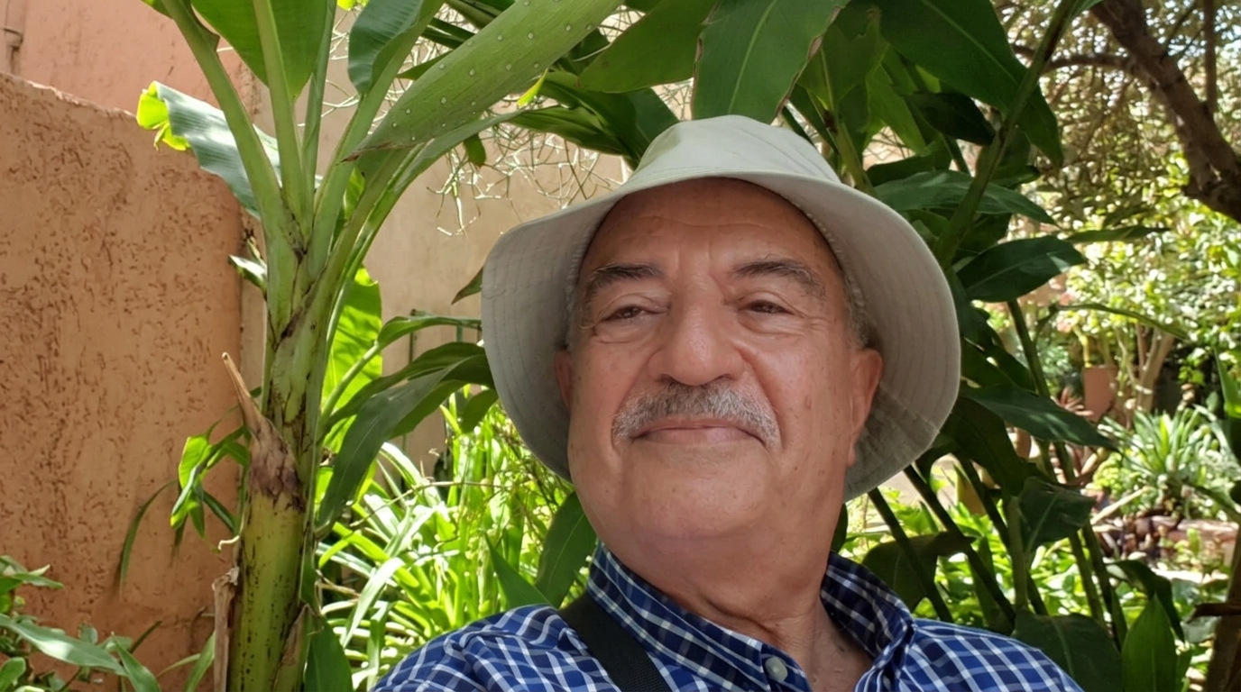 Exposition de Taha Sabie