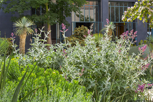 Le Jardin : Le Jardin Secret Marrakech